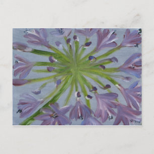 Cartão Postal August Agapanthus