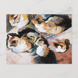Cartão Postal August Macke, Katzenstudien,