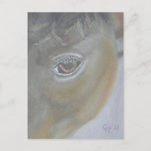 Cartão Postal Aumente Meu Ego - Pintura de Cavalo