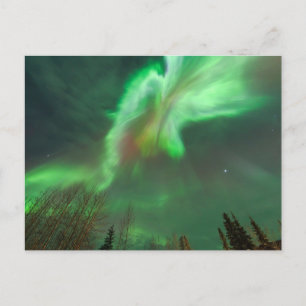 Cartão Postal Aurora Boreal Luzes do Norte   Fairbanks