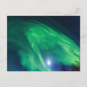 Cartão Postal Aurora Boreal Luzes do Norte Fairbanks