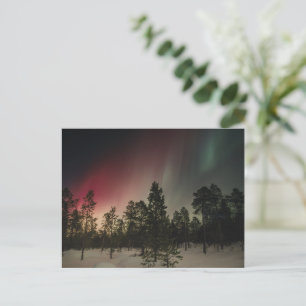 Cartão Postal Aurora Boreal Sobre Floresta Nevada