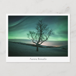 Cartão Postal Aurora Borealis