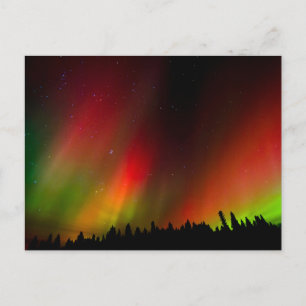 Cartão Postal Aurora Borealis and trees