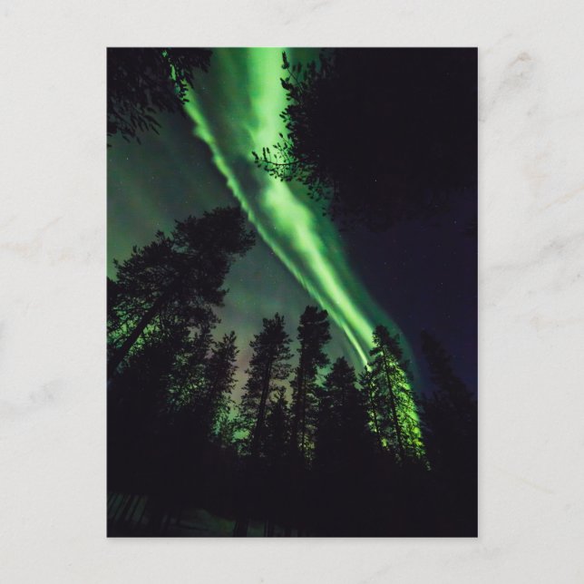 Cartão Postal Aurora borealis na Lapónia finlandesa (Frente)