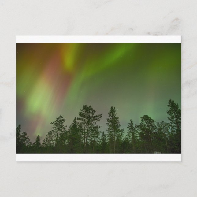 Cartão Postal Aurora Borealis Norte Luzes Céu Brilhante (Frente)
