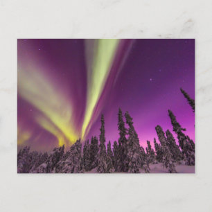 Cartão Postal Aurora Borealis Norte Luzes Fairbanks Alasca