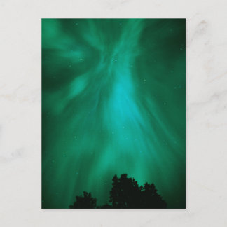 Cartão Postal Aurora Borealis Noturno | Ontário, Canadá