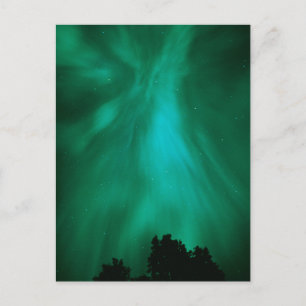 Cartão Postal Aurora Borealis Noturno   Ontário, Canadá