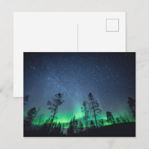 Cartão Postal Aurora Forest