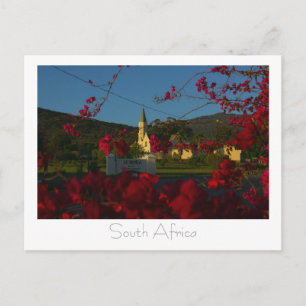 Cartão Postal Aurora West Coast Flowers South Africa SA