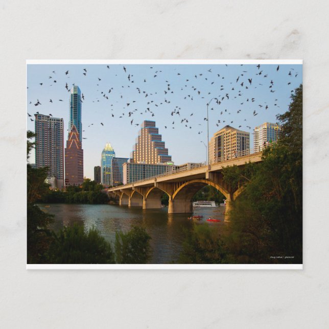 Cartão Postal Austin, Texas Congress Bridge Bats (Frente)