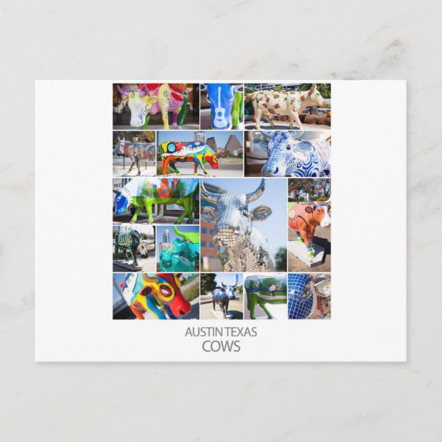 Cartão Postal Austin Texas Cows (Frente)