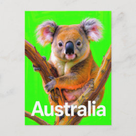 Cartão Postal Australia Koala Bear Pop Art