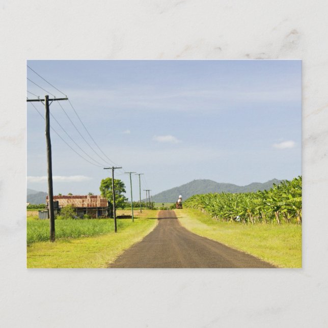 Cartão Postal Austrália, Queensland, Costa Norte, Babinda. (Frente)