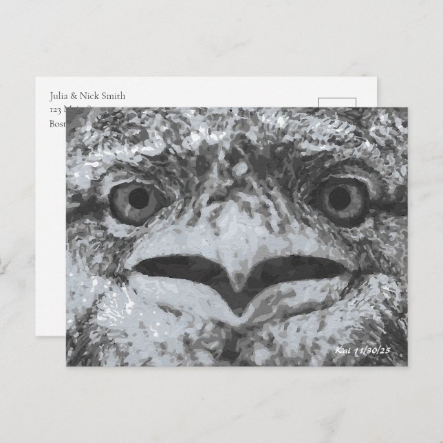 Cartão Postal Australian Wildlife, Nature's Curmudgeon, Animal (Frente/Verso)