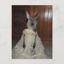 Cartão Postal australiano Kangaroo Joey