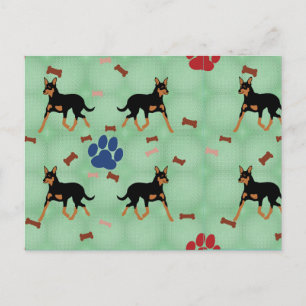 Cartão Postal australiano Kelpie