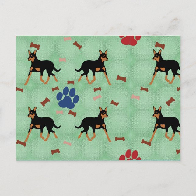 Cartão Postal australiano Kelpie (Frente)