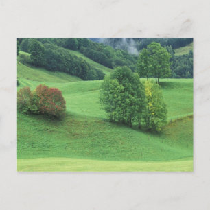 Cartão Postal Austria. Rolling green hillside and trees