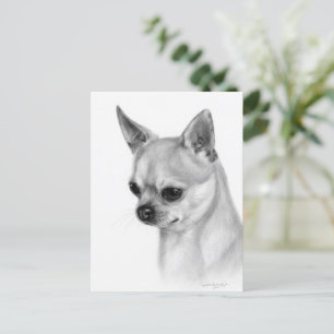 Cartão Postal Autêntico Trabalho de arte Chihuahua