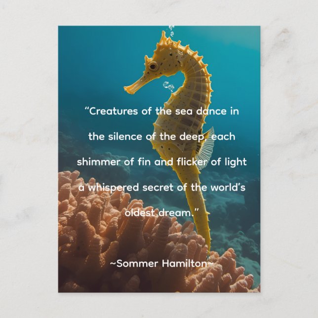 Cartão Postal Author Collection by Author Sommer Hamilton (Frente)