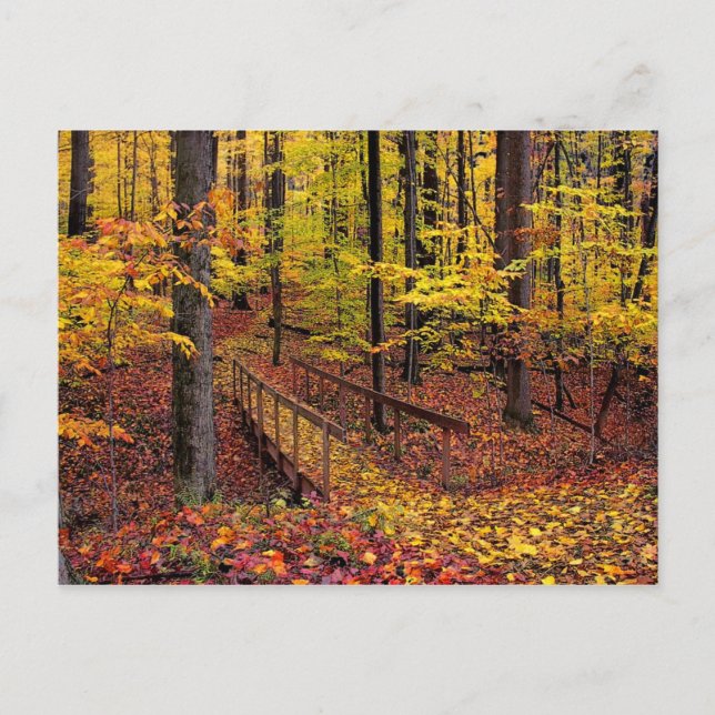 Cartão Postal Autobridge,cartão postal (Frente)