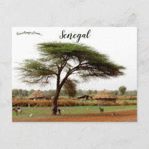 Cartão Postal Autoestrada entre Ouro Sogui e Orkadiéré Senegal