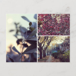Cartão Postal Automne
