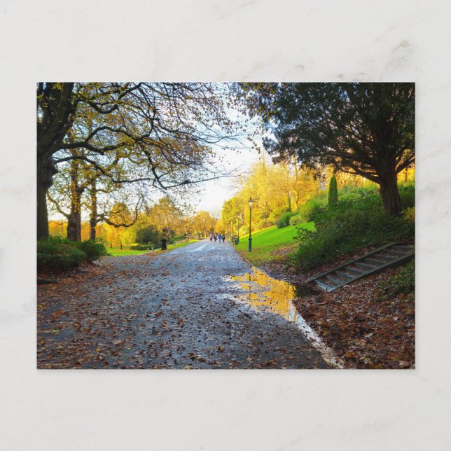 Cartão Postal Autumn  (Frente)