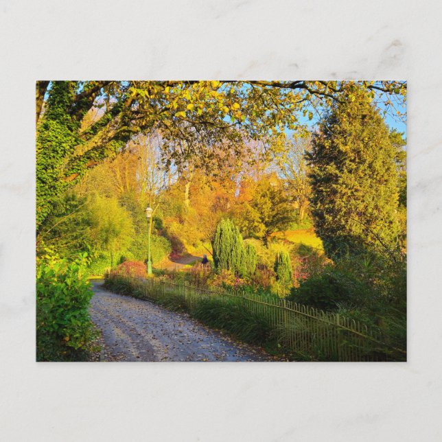 Cartão Postal Autumn  (Frente)