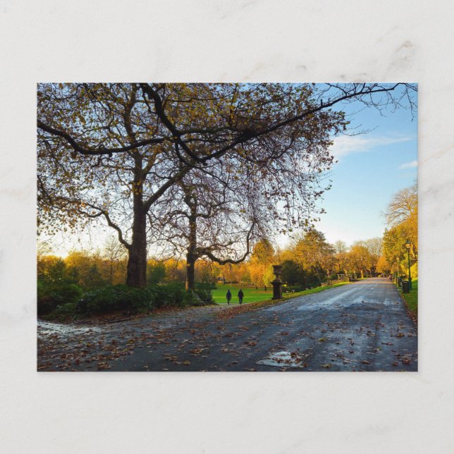 Cartão Postal Autumn  (Frente)