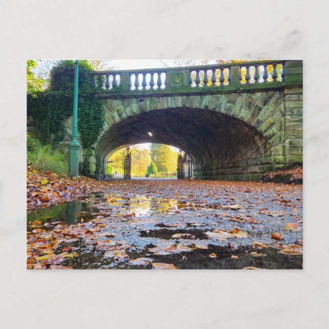 Cartão Postal Autumn  (Frente)