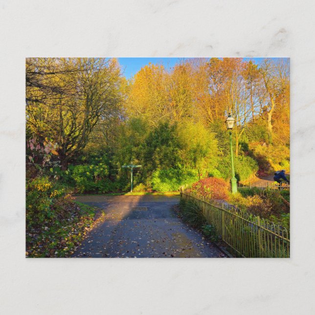 Cartão Postal Autumn  (Frente)