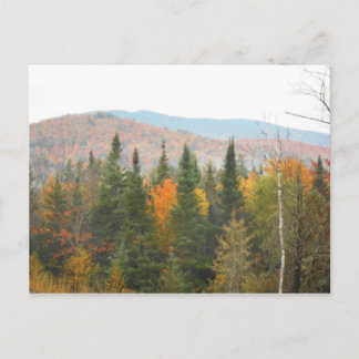 Cartão Postal Autumn Adirondacks Árvores Paisagem