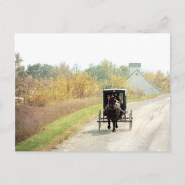Cartão Postal Autumn Amish Horse and Buggy