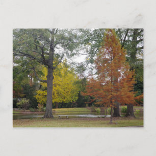 Cartão Postal Autumn Birmingham, Alabama
