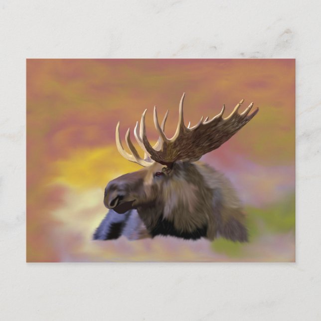 Cartão Postal Autumn Bull Moose (Frente)