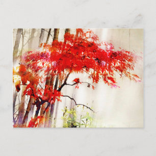 Cartão Postal Autumn Cardinal, Japonês Red Maptree, Cartão-pos