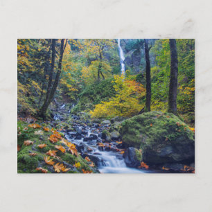Cartão Postal Autumn Color Along Starvation Creek Falls 2