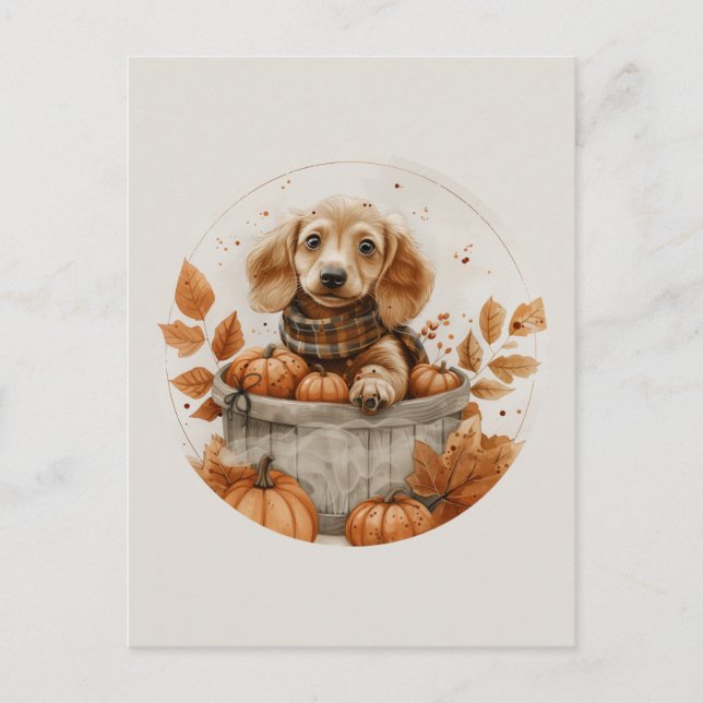 Cartão Postal Autumn Dachshund Dogs Pumpkin (Frente)
