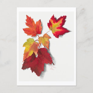 Cartão Postal Autumn Deixa A Ilustração Botânica