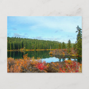 Cartão Postal Autumn em Clear Lake Postcard