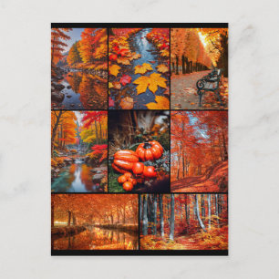 Cartão Postal Autumn Fall Landscape Photo Art