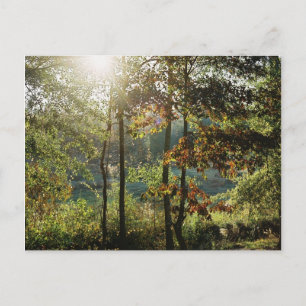 Cartão Postal Autumn Foliage