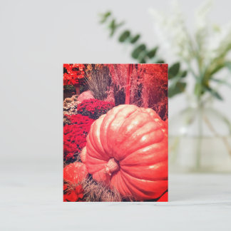 Cartão Postal Autumn Harvest Postcard