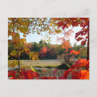 Cartão Postal Autumn Lake Frame