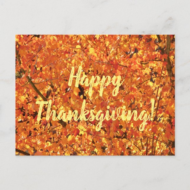 Cartão Postal Autumn Leaves na árvore - fotografia. (Frente)