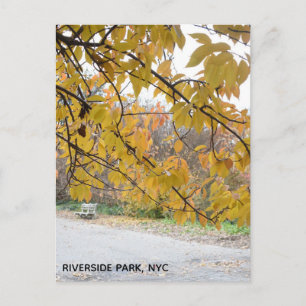 Cartão Postal Autumn Leaves Riverside Park Nova Iorque NYC