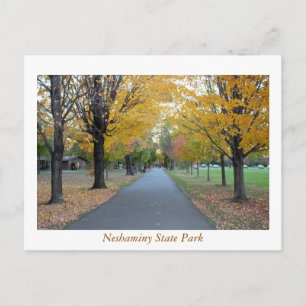 Cartão Postal Autumn Neshaminy State Park
